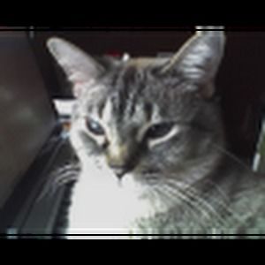 Meet your Posher, Tasha